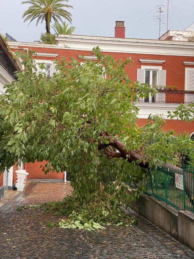 B-Montedidio Hotel Napoli Eksteriør billede